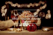 Forfait St Valentin 'Grands Arbres' 3 plats