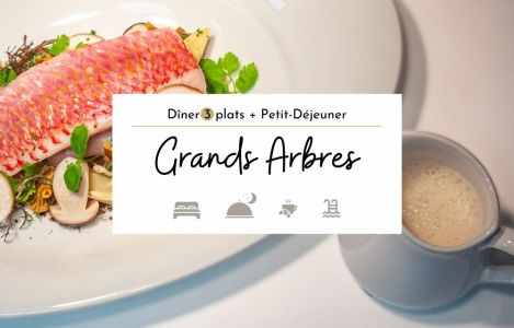 stay "Grands Arbres" 3 courses