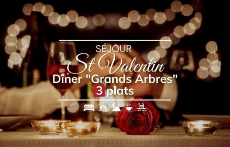 Valentine's Day Package 'Grands Arbres' 3 courses